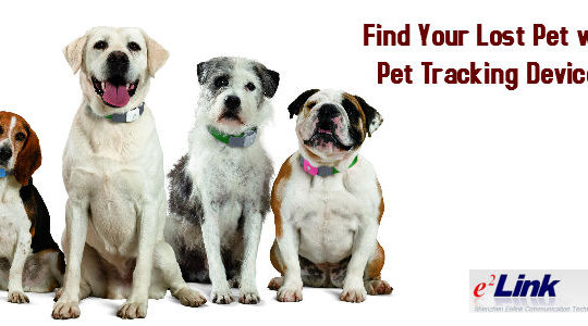 Find Your Lost Pet with Pet Tracking Devices