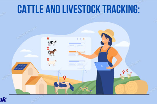 Cattle and livestock tracking: 5 things your devices should have