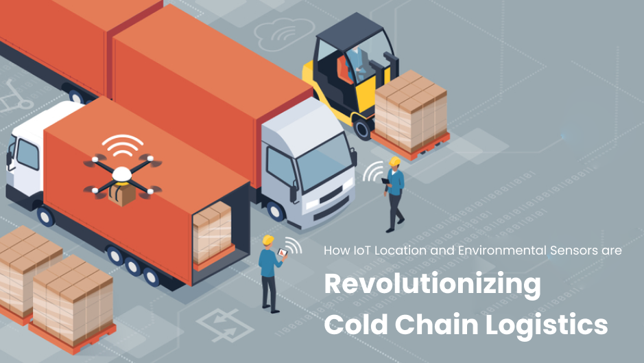 How IoT Location and Environmental Sensors are Revolutionizing Cold Chain Logistics